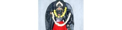 பாரியூர்